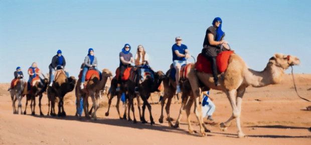 exclusive team on camels